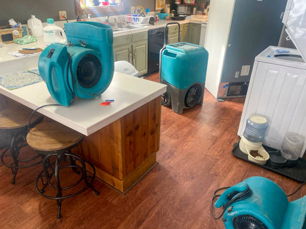 Water damage restoration insurance claims in Chesterfield, SC