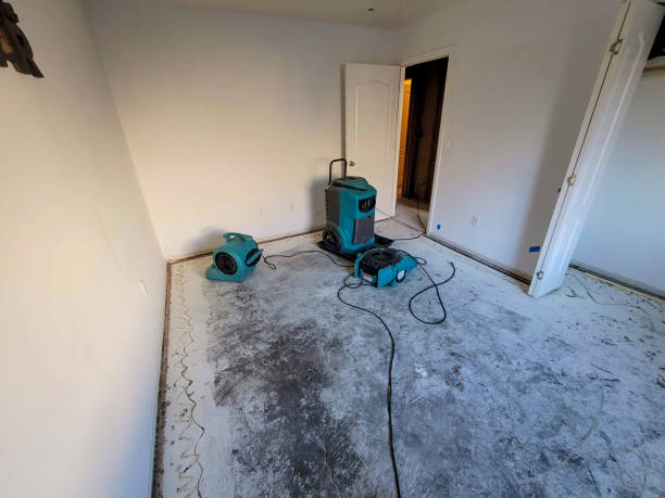 Best Carpet water damage restoration  in Chesterfield, SC