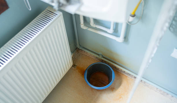 Best Professional water damage repair  in Chesterfield, SC