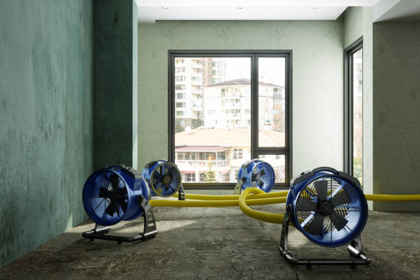 Best 24/7 water damage repair  in Chesterfield, SC