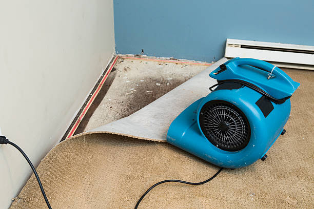 Best 24-hour water damage restoration  in Chesterfield, SC